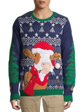 Holiday time Festive Reindeer Sweater - Blue and Red